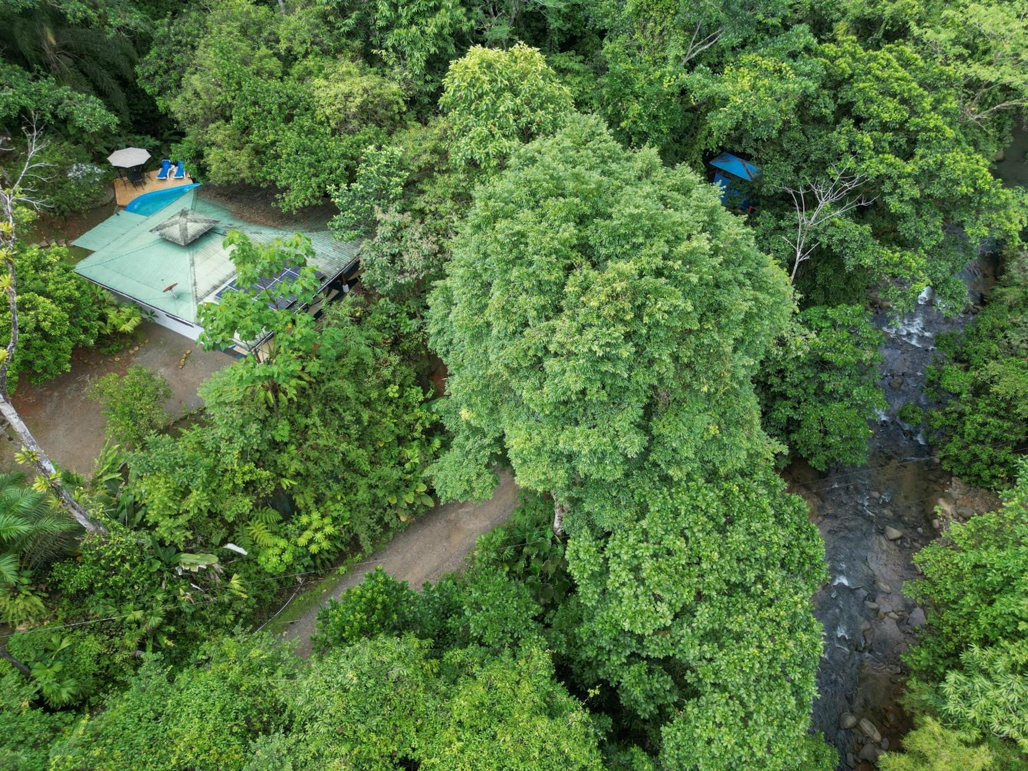 Casa Cedro - Portasol Vacation Rentals Matapalo  外观 照片