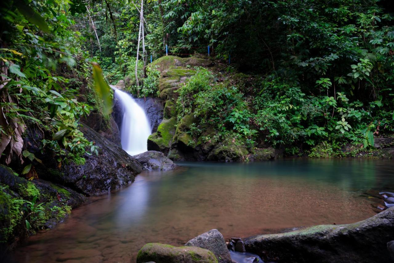 Casa Cedro - Portasol Vacation Rentals Matapalo  外观 照片