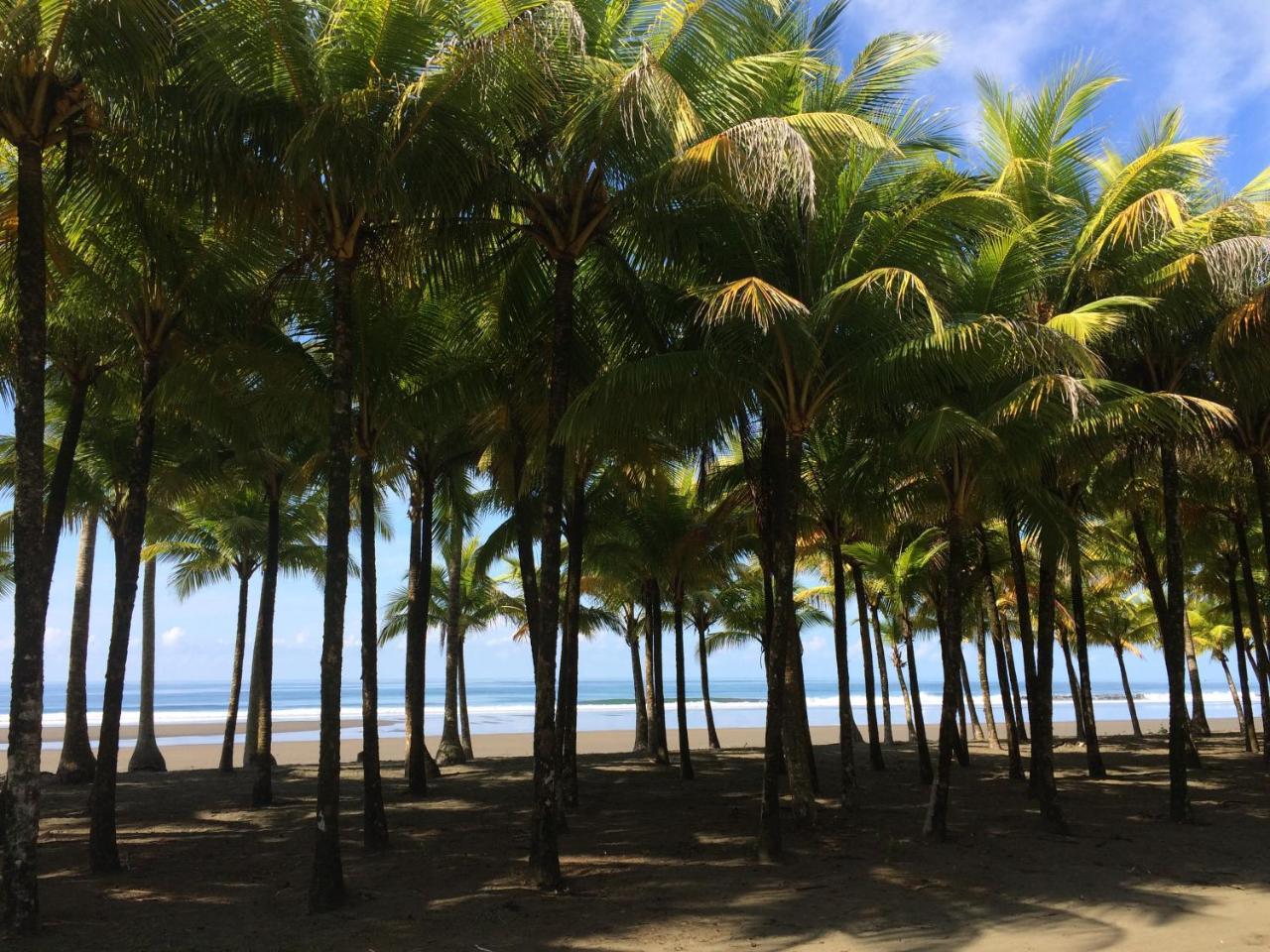 Casa Cedro - Portasol Vacation Rentals Matapalo  外观 照片