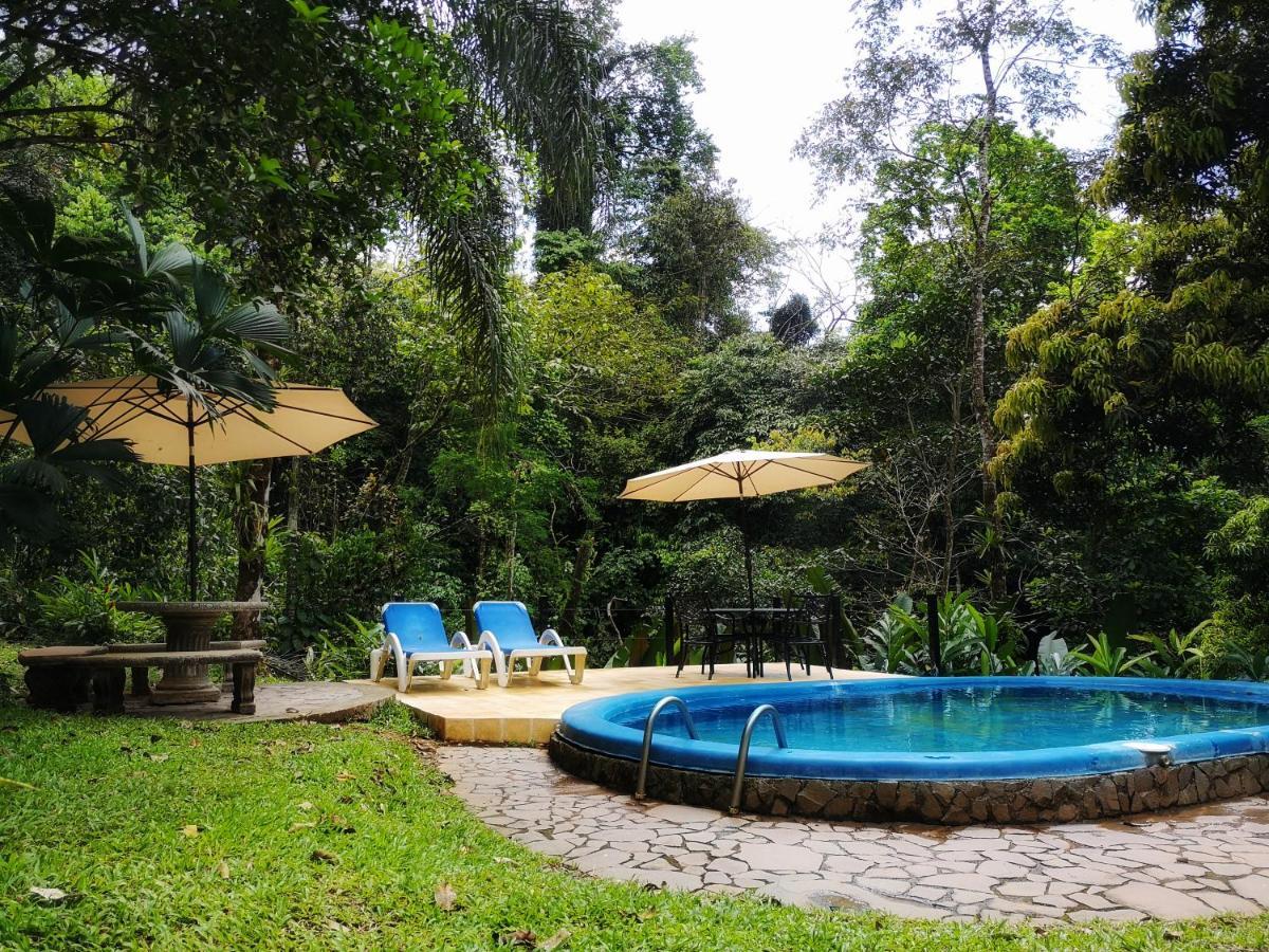Casa Cedro - Portasol Vacation Rentals Matapalo  外观 照片
